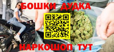 прущие грибы Лесосибирск